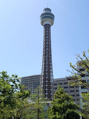 《山下公園》"横浜マリンタワー"  Yokohama marine tower