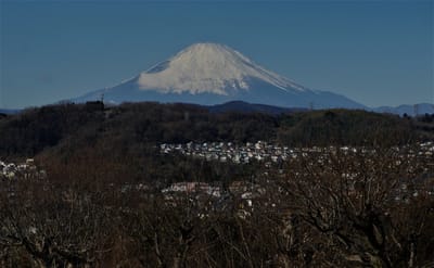 お気に入りの "県立 大磯城山公園"から見た富士山 🗻