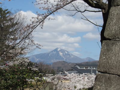 鶴ケ城から見る磐梯山