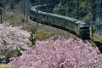 桜満開の殿田のお山　2022.4.9