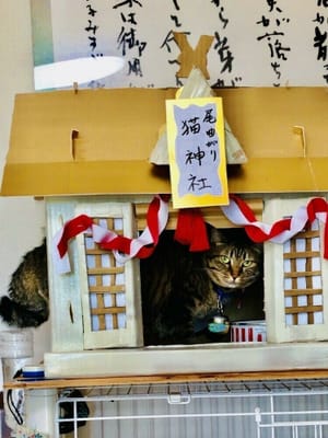 尾曲り猫神社
