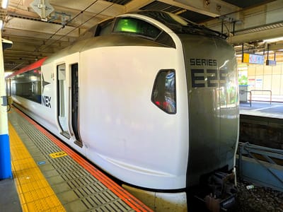 　🚝 成田エクスプレス（Narita Express、N'EX）
