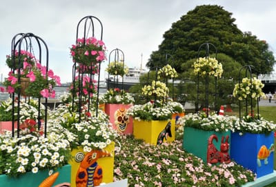 【山下公園】よこはま花と緑のスプリングフェア・花壇展