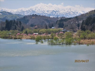 ダム湖の　春