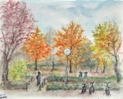秋色の公園