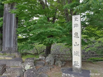 亀山城跡と菖蒲