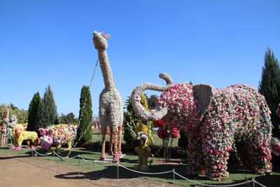 東武動物公園8～花で飾られた動物たち