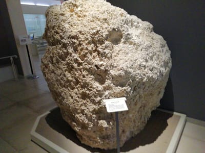 「琉球石灰岩」1　沖縄県立博物館②ー3  (琉球国王からの招待状ツアー２日目)    2022年12月11日