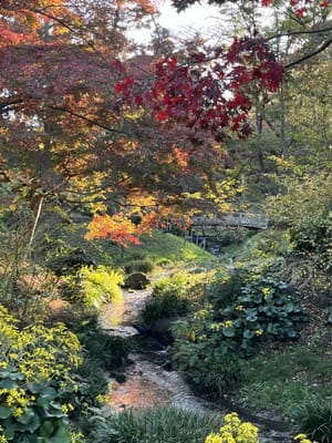 秋の三溪園🍁