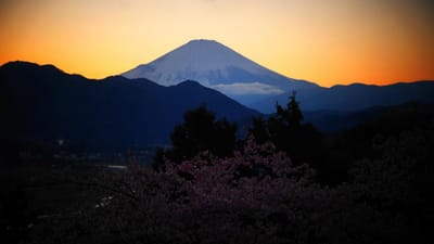 松田町 西平畑公園から見る富士山(夕景)