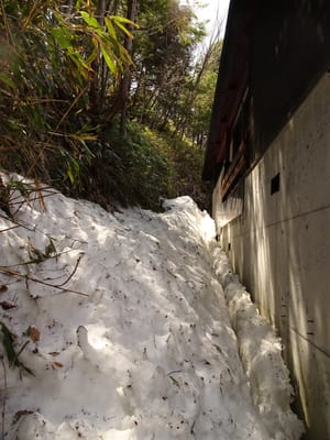 2017年GW蓼科滞在、我が家の裏の2mほどもある残雪