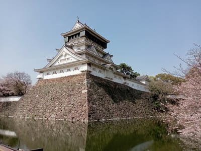 令和５年も同じ場所から満開の桜🌸と小倉城🏯