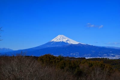 修善寺梅林からの富士山