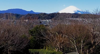 　🗻　　"県立大磯城山公園"から見る富士山　　🗻　