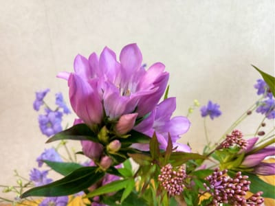 9月のお花たち