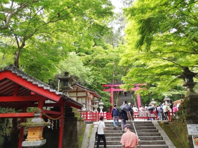 ①ー３ やっと参道へ　駆け足参拝 談山神社 (乗り物と緑が美しい寺社巡りツアー３日目)   2022年6月19日