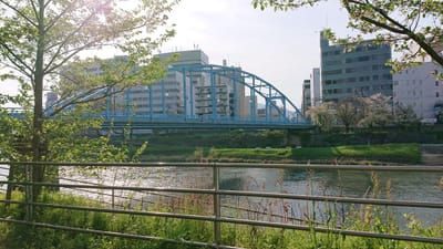 ツツジ 熊本市の古い安政橋