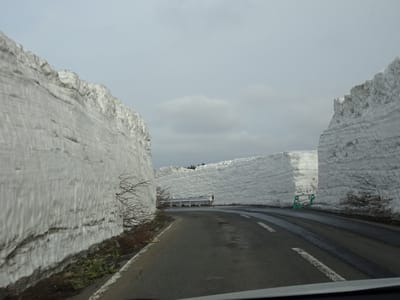 八甲田雪の回廊、は迫力ある4~5mの雪の壁。