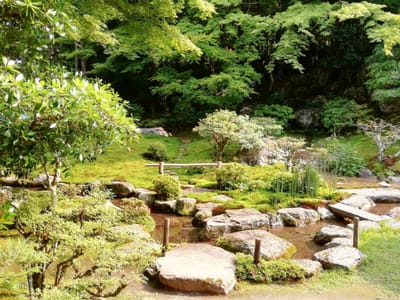 飛び石光景　　　旧竹林院③ー１　見事な庭園    2022年6月17日
