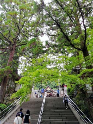 ①ー3   拝殿への階段　　本殿がない大神神社 (乗り物と緑が美しい寺社巡りツアー３日目)   2022年6月19日