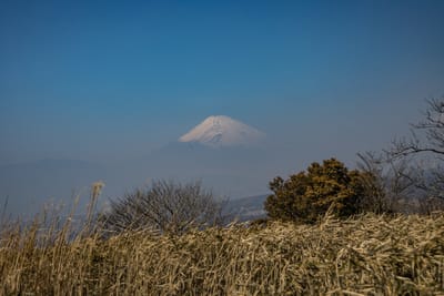 伊豆スカイラインから富士山　