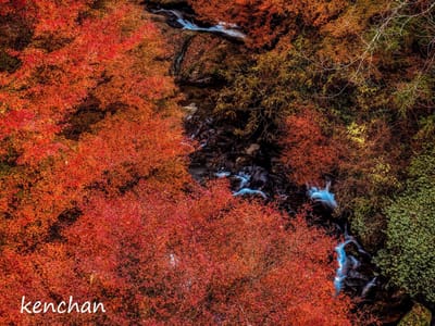 王滝渓谷の紅葉