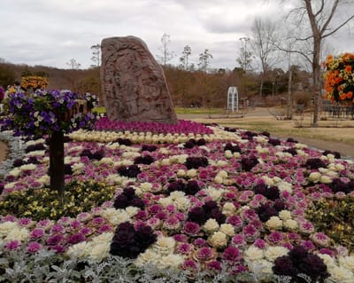 ハーラルの石碑（レプリカ）２　　　水仙とすみれの仲間が彩るアンデルセン公園    2021年３月４日