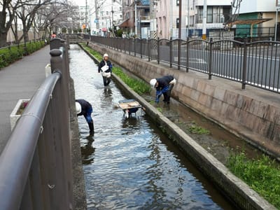 長瀬川の清掃