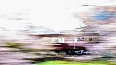 桜並木を駆け抜ける阪急電車（流し撮り）