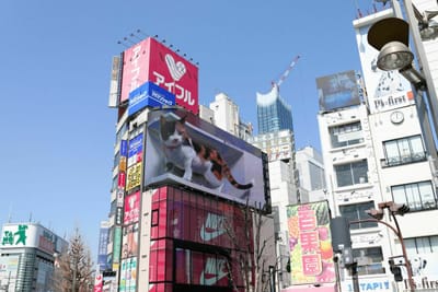 新宿駅東口　ユニークな広告塔