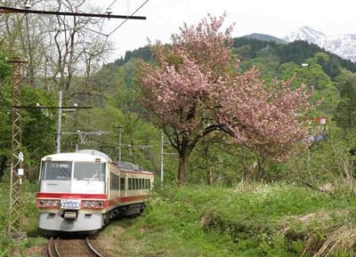 富山地方鉄道で活躍しているﾚｯﾄﾞｱﾛｰ！