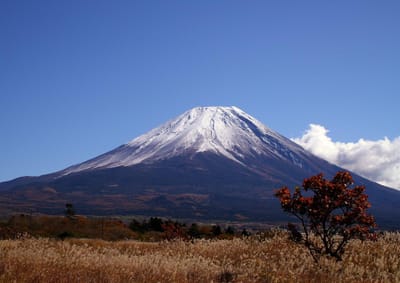 朝霧高原からの富士山　　3周年