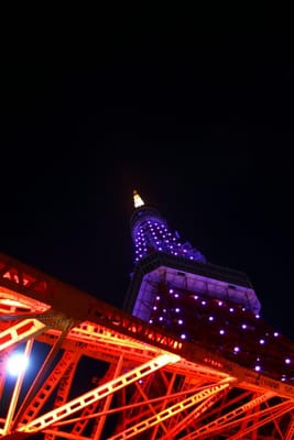 東京タワー　下から