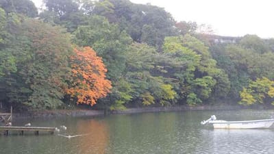 一碧湖の紅葉