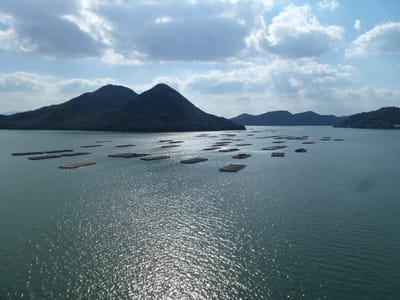 橋上から日生諸島の眺め