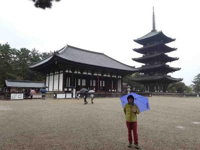 興福寺の東金堂と五重塔