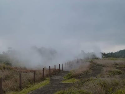 キラウェー山、火口壁の水蒸気噴出箇所