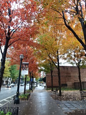 アトランタ、マーガレットミッチェル住家前の紅葉した街路樹
