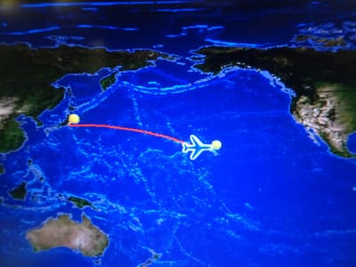ユイテツド航空にて成田からホノルルへ、7時間のフライトでした