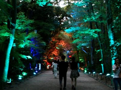 下鴨神社 4 糺の森光の祭典 2