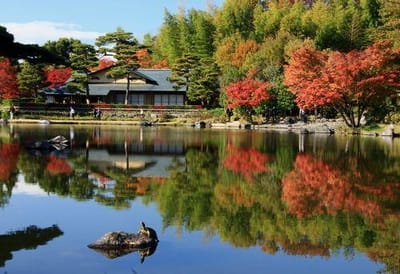 日本庭園 1 寒風亭を望む池