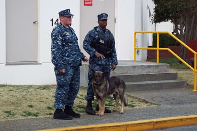 アメリカ海軍の警備犬