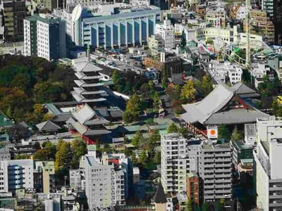 東京スカイツリーからの眺望