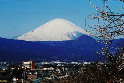 曽我山から見る富士山