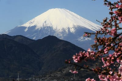もう雪景色の富士が待ち遠しい！