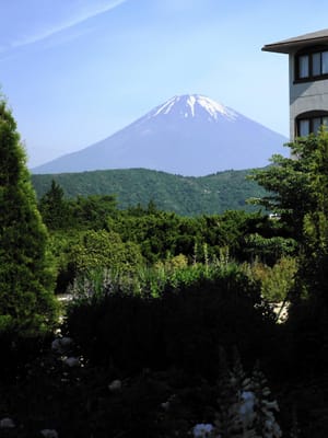 箱根仙石原から見る富士山