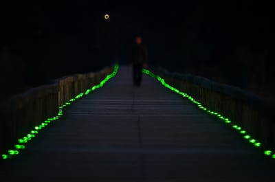 夜の蓬莱橋