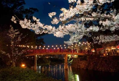 岡崎城桜祭り