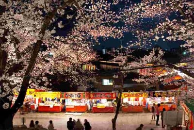岡崎城桜祭り