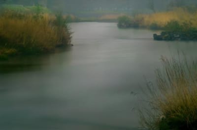 雨の瀬戸川